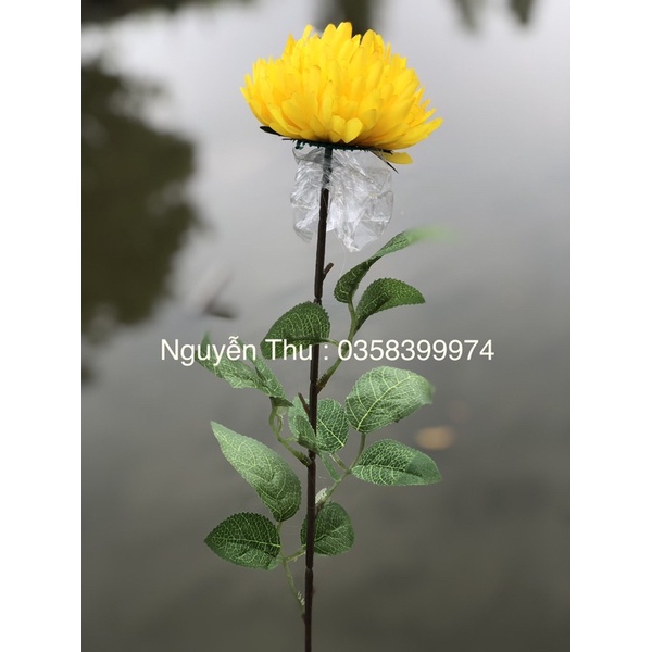 Hoa cúc giả - hoa cúc 1 bông