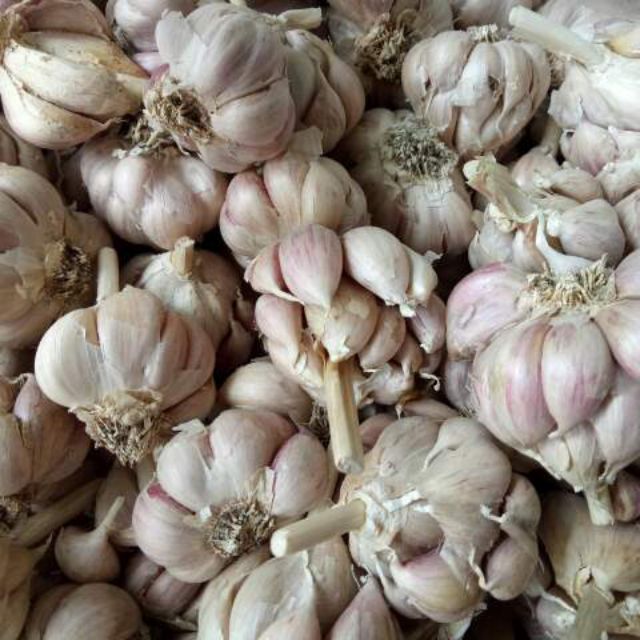 100g Tỏi Bắc