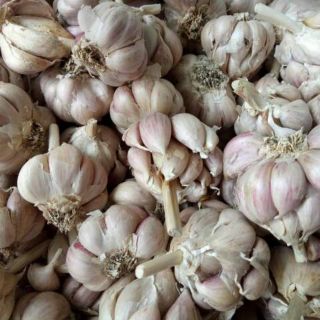 100g Tỏi Bắc