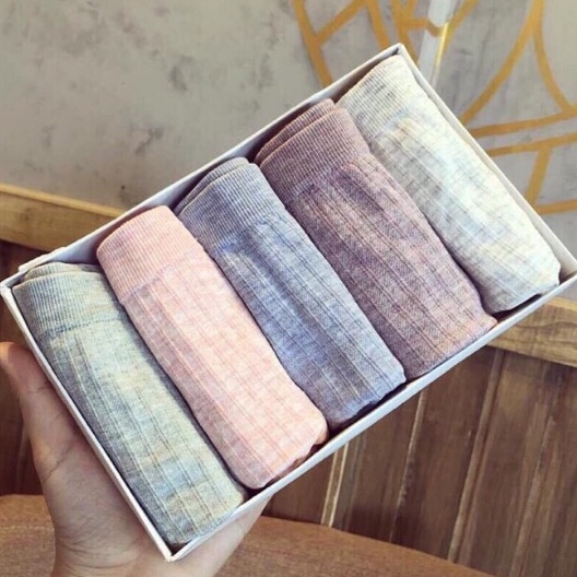 HỘP 5 QUẦN CHIP KHÁNG KHUẤT SIÊU XINH MUJ