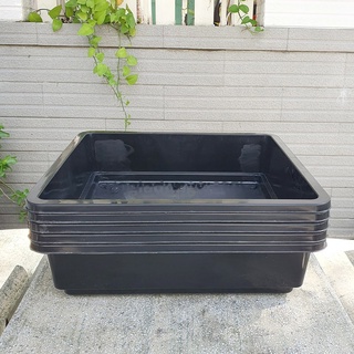 Bộ 05 khay nhựa cứng màu đen trồng rau mầm, rau ăn lá size 42x38x11cm-Đồ Gia Dụng Tại HCM