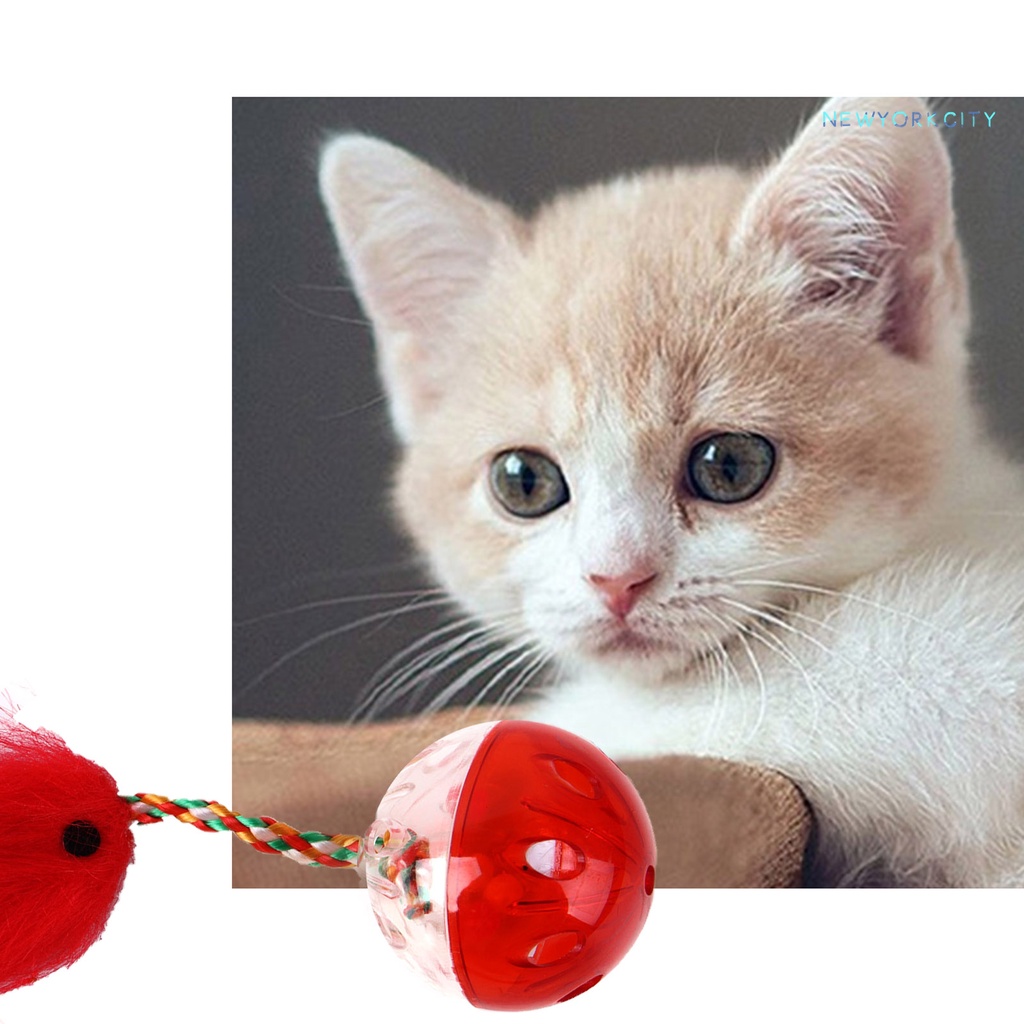 Đồ Chơi Dây Bện Gắn Chuột Giải Tỏa Căng Thẳng Cho Mèo Cưng