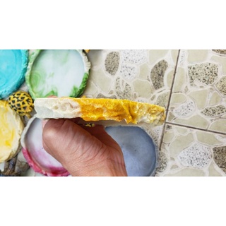 Máng ăn + chén nước  cho Rùa và bò sát .