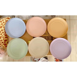 Sét Đĩa Nhựa Lúa Mỳ , COMBO 6 CHIẾC ĐĨA LÚA MẠCH