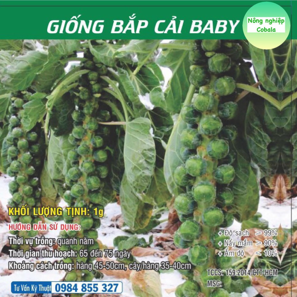 Hạt Giống Bắp Cải Baby (Bắp Cải Tí Hon) 1gr