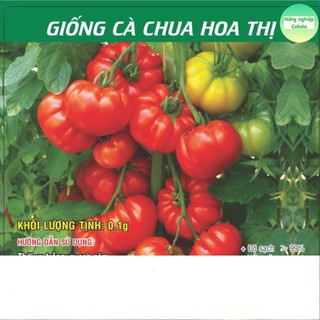 Hạt Giống Cà Chua Hoa Thị 0.1gr