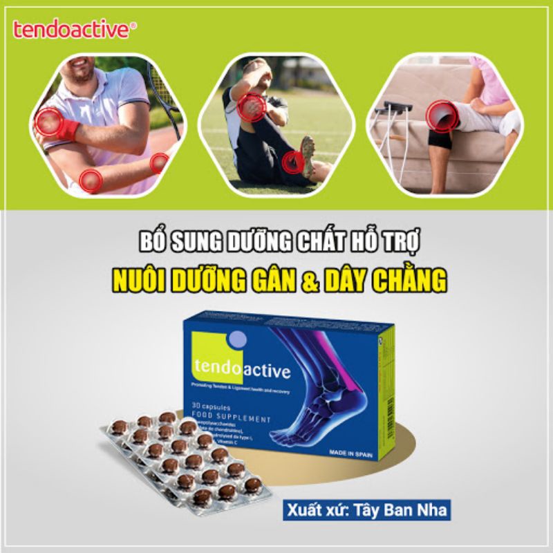 Tendoactive - Phục hồi tổn thương gân, dây chằng