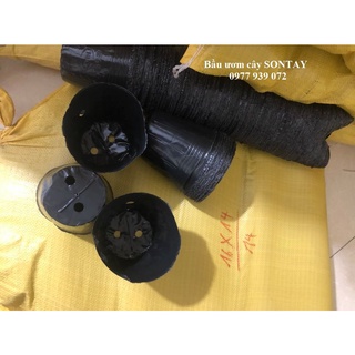 5kg bầu ươm cây mã 16x14 chỉ 250.000đ