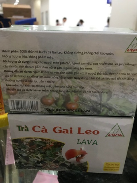 Trà Cà Gai Leo Lava hỗ trợ viêm gan B