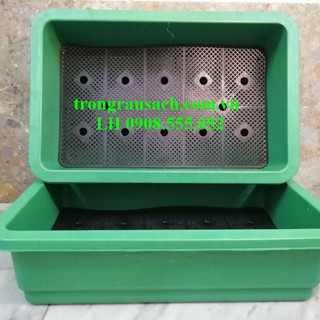 5 Khay Nhựa Trồng Rau 65x42x16cm (05KHAYXANH) Nhựa Loại 1