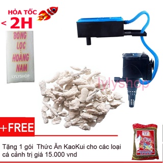 Máy lọc nước hồ cá RS 9800 2100L/H loại tốt, tiết kiệm điện + Bông lọc bể cá + 200gr san hô đẹp tặng 1 thức ăn cho cá