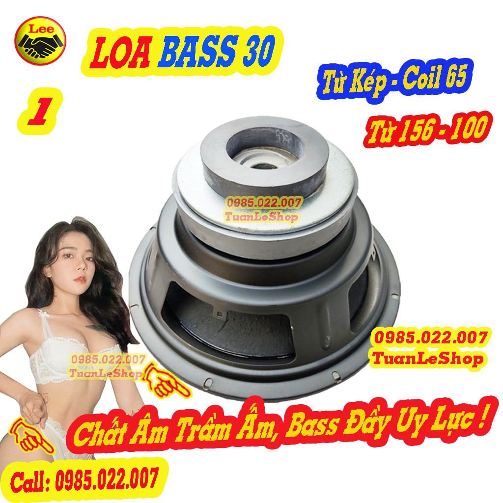 1 LOA BASS 30 GÂN MÚT COIL 65.5 TỪ KÉP KIỂU BMB – GIÁ 01 LOA BASS 3 TẤC TU KEP