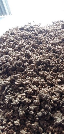 500g Củ Địa liền