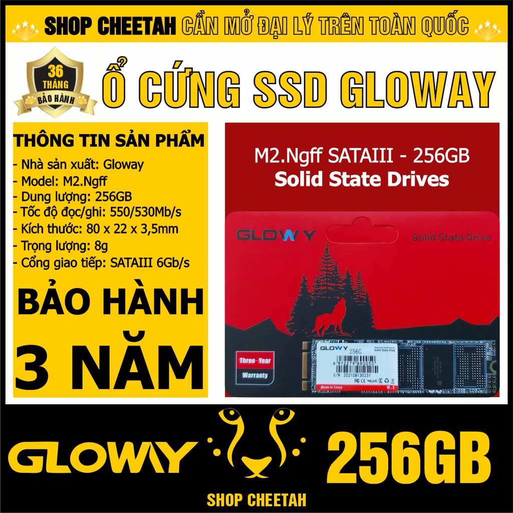 Ổ cứng SSD M2.NGFF Gloway 256GB (SATA III) – CHÍNH HÃNG – Bảo hành 3 năm - SSD M2