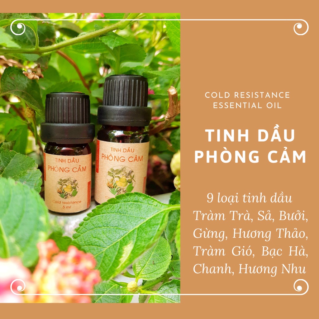 Tinh Dầu Nguyên Chất Thiên Nhiên Lành Tính An Toàn 5ml, 10ml. Tinh Dầu Là Nhiên