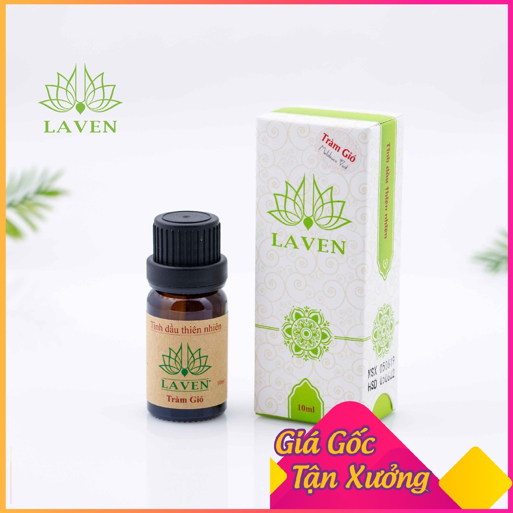 Tinh Dầu Tràm Gió Laven, 100% Thiên Nhiên Nguyên Chất, Tác Dụng Tuyệt vời cho cuộc sống. Giá Tốt nhất thị trường