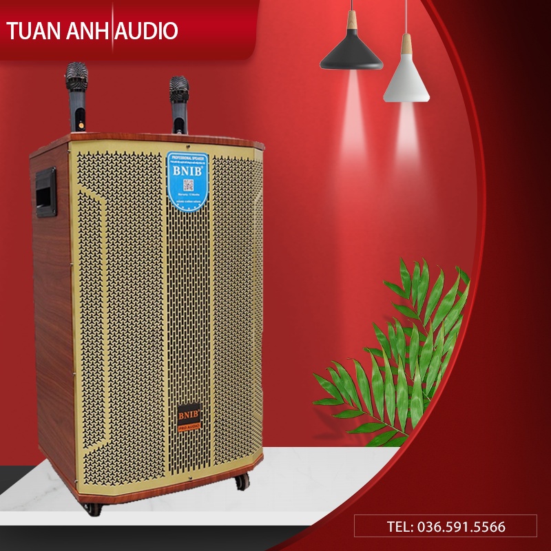 Loa Kéo BNIB 1599 Plus Loa kẹo kéo bass 40 hát karaoke tích hợp bluetooth tích hợp Micro không dây Bảo Hành 12 Tháng