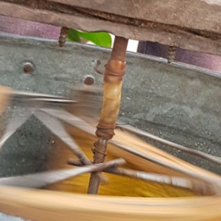 Mật ong rừng nguyên chất