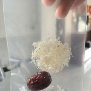 Combo 10 túi Yến sào mini nguyên chất