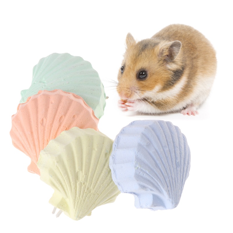 Đá Mài Răng Hình Vỏ Sò Cho Chim Vẹt / Chuột Hamster