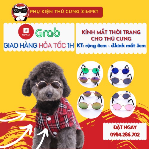 Kính mắt cho thú cưng - Kính mắt cho mèo - Kính râm các màu cho thú cưng