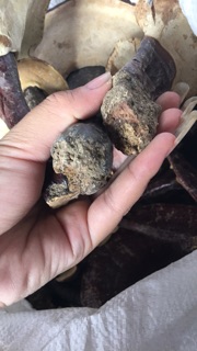 Nấm lim xanh 1kg