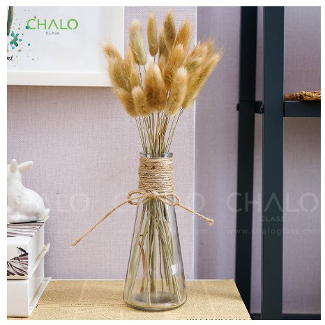 Lọ Hoa Trang Trí Thủy Tinh Tam Giác 350ml Decor