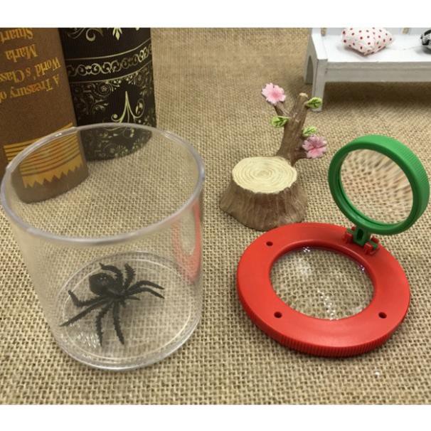 Hộp đựng quan sát côn trùng