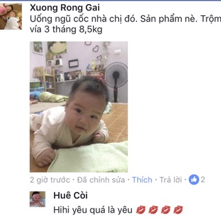 Combo 2 túi lợi sữa