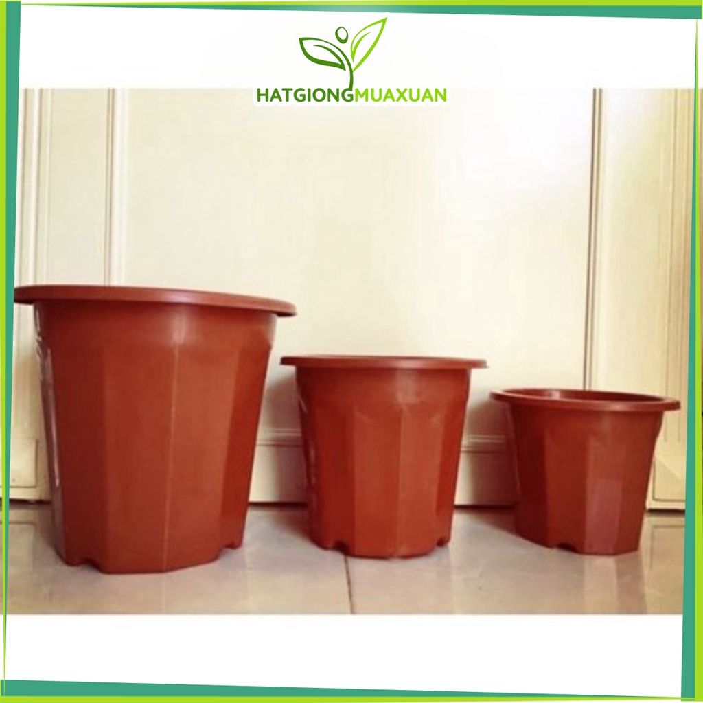 Chậu nhựa trồng cây/Ươm cây E các kích cỡ