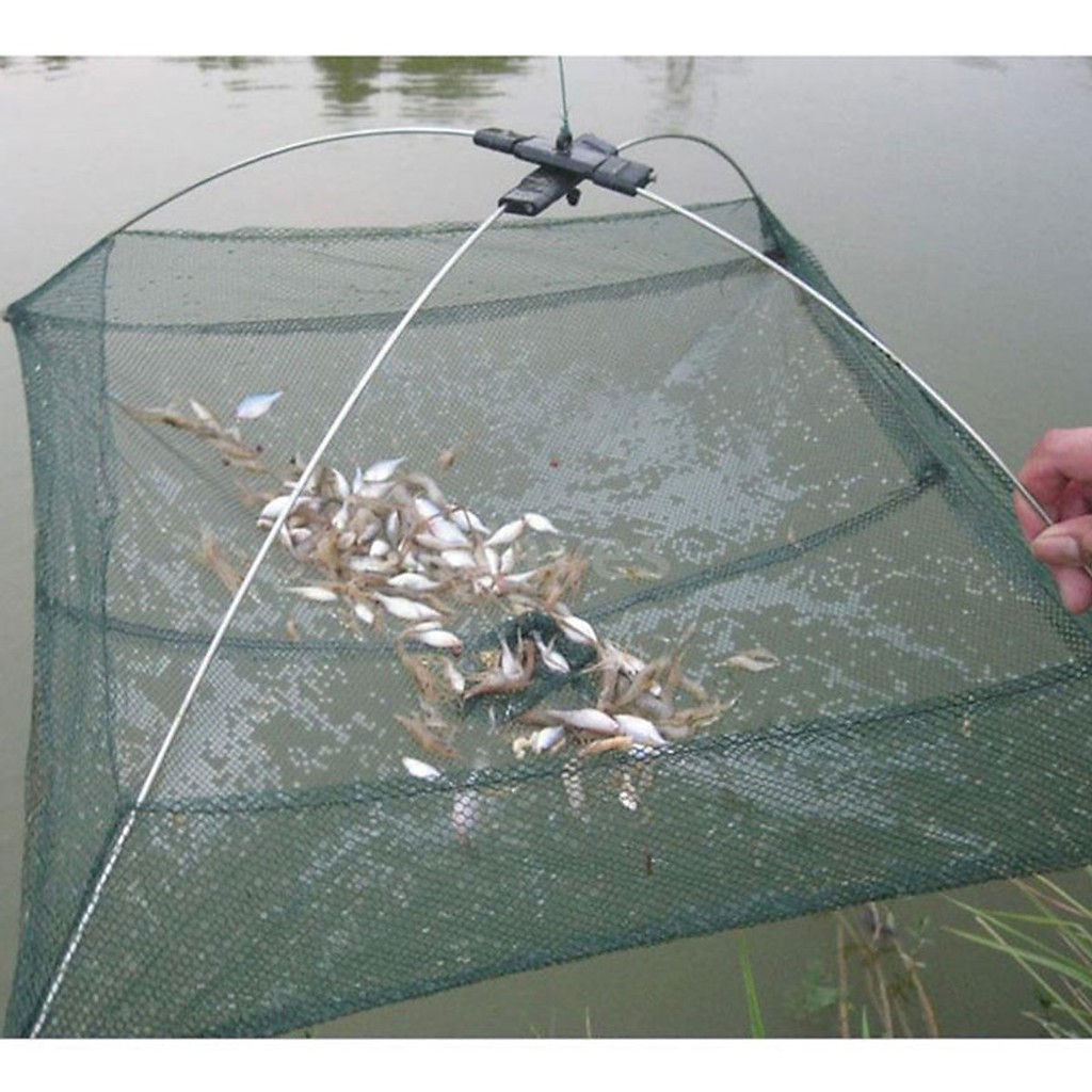 Vó , lồng bắt tôm bắt tép hiệu quả  giá rẻ y hình