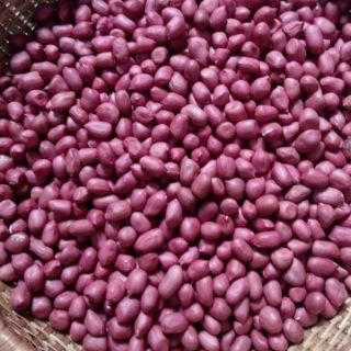 Lạc đỏ đặc sản tây bắc