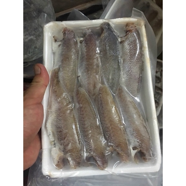 [Phú Nhuận]Cá Đù Một Nắng Khay 500g Cá Nguyên Con Loại 1 Cực Ngon