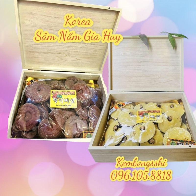 [DATE MỚI] Nấm Linh Chi Vàng HÀN QUỐC, Hộp Gỗ 365 Sang Trọng