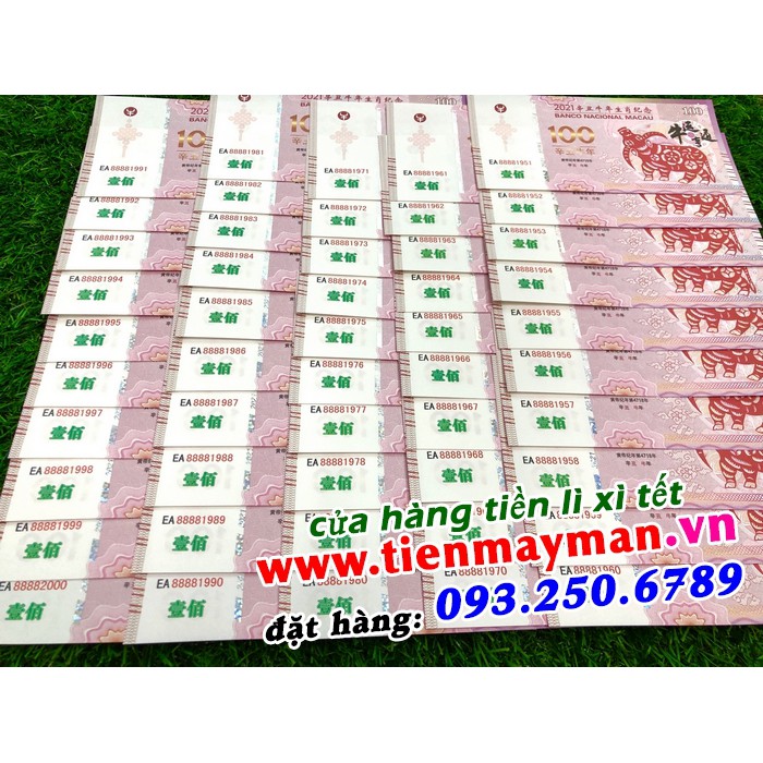 [RẺ SẬP SÀN] Tiền 100 dola macao hình con trâu 2021 tờ tiền mang màu đỏ may mắn