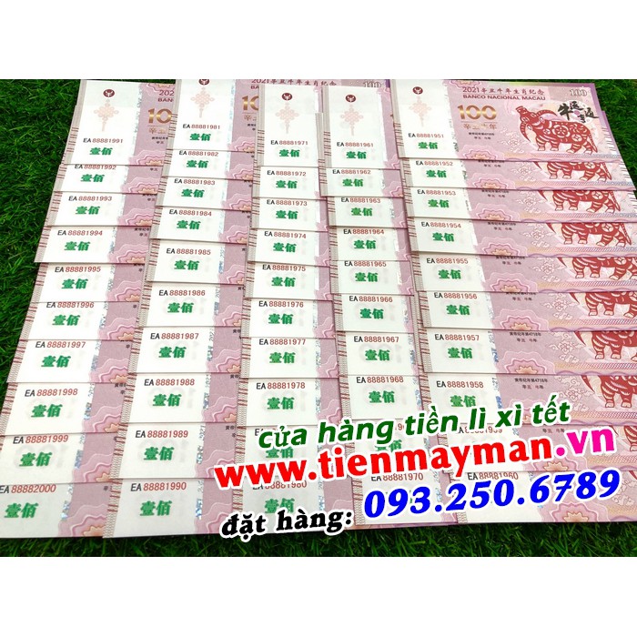 Combo 10 Tờ Tiền Lưu Niệm 100 Dollar Macao Hình Con trâu - Quà Tặng Lì Xì Tết Tân Sửu 2021 - kèm 10 bao lì xì