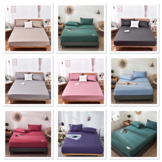 Bộ ga gối cotton tici Mây Bedding đủ màu đủ kích thước