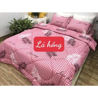 Chăn Phao Trần Bông Dày 1m8x2m,Vải Mềm Mịn Mẫu Hot nhất,có chọn mẫu,MẪU LÁ HỒNG
