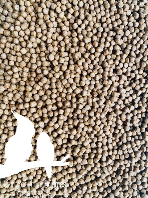 1kg cám cá cargill 7454 viên 3mm 30% đạm cho cá ăn hoặc dùng câu cá,tra,điêu hồng.