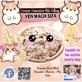 Yến mạch sữa vỗ béo hamster các dòng và pet nhỏ