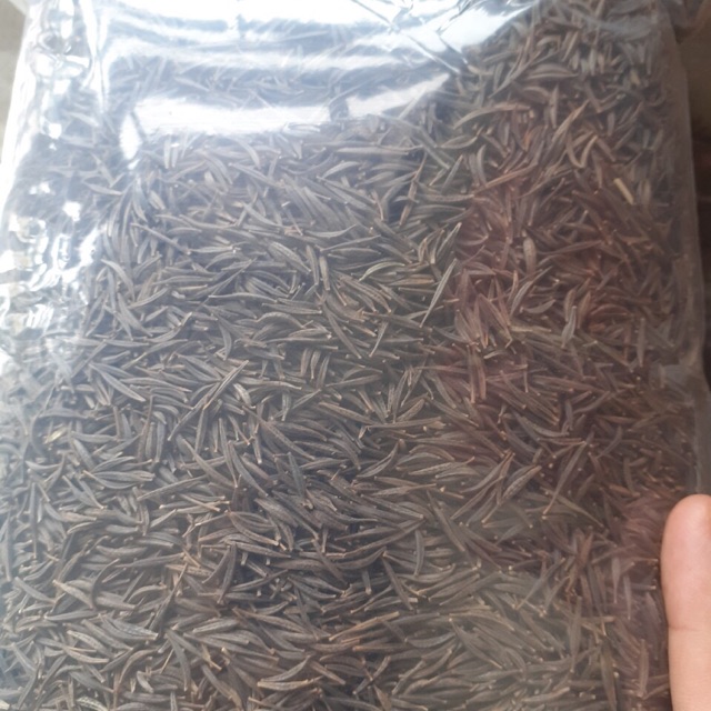 1kg hạt sao nhái