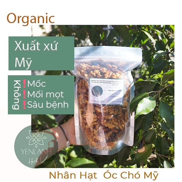 Nhân óc quả óc chó vàng Mỹ hữu cơ 250gr-500gr Yenlanhnatural