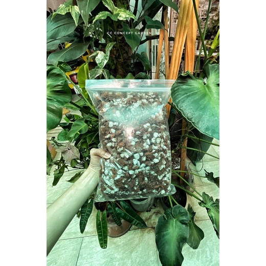 Xơ Dừa Cocochip Trộn Perlite | Giá thể trồng cây