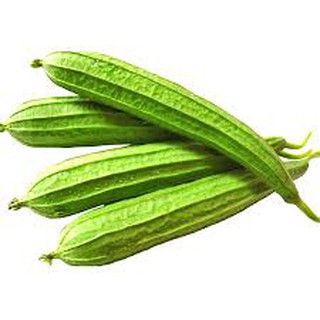 10 HẠT GIỐNG MƯỚP KHÍA