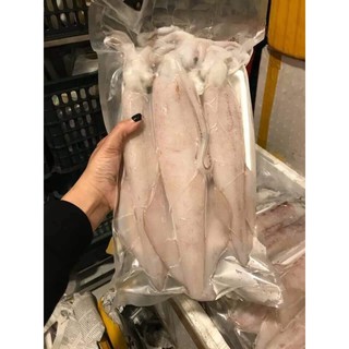 MỰC ỐNG SIZE TO 2-3 CON 1 KG