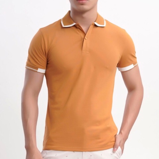 [SALE] Áo polo Aristino vừa ôm, tôn dáng, thanh lịch