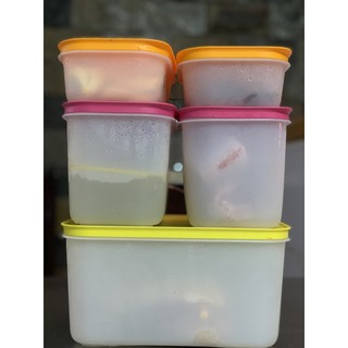 Combo hộp trữ đông Tupperware Freezermate thế hệ 2 (5 hộp)