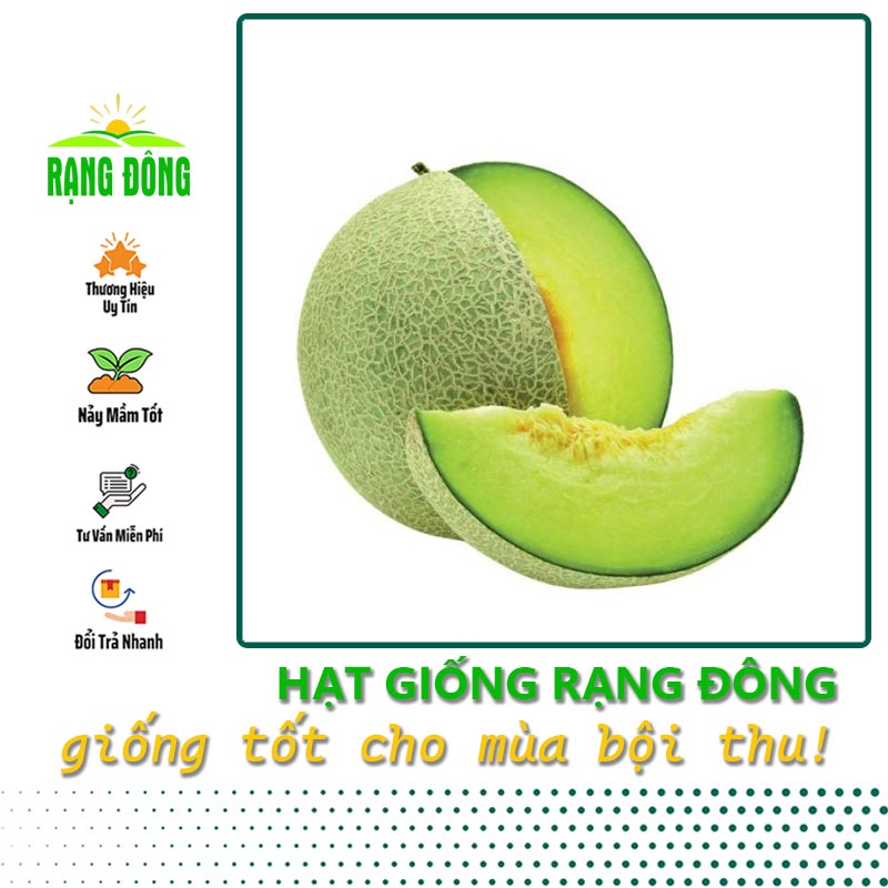 Hạt giống Dưa Lưới Ruột Xanh trồng quanh năm, dễ chăm sóc, trái to, thơm, ngọt (gói 10 hạt) - Hạt giống Rạng Đông