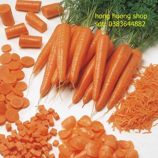 Hạt giống cà rốt