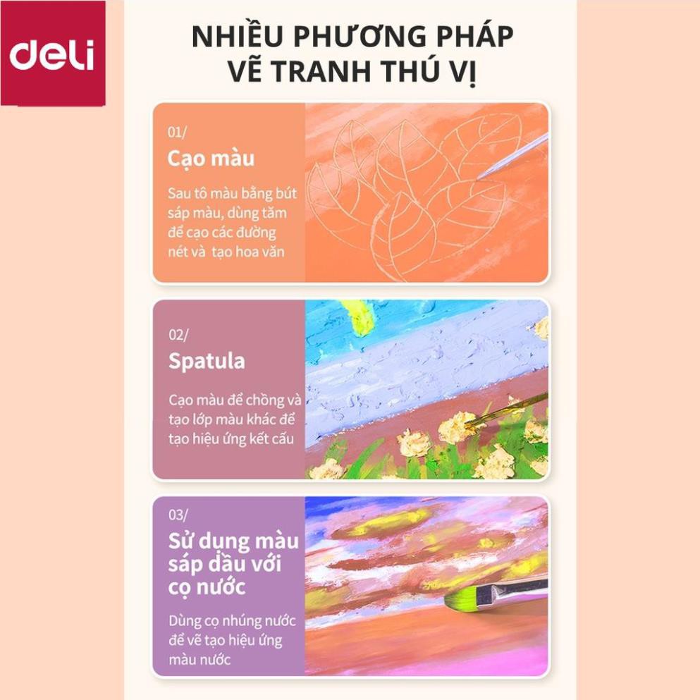 Bút sáp dầu cao cấp Deli - 12/24/36 Màu - 72133 [Deli]